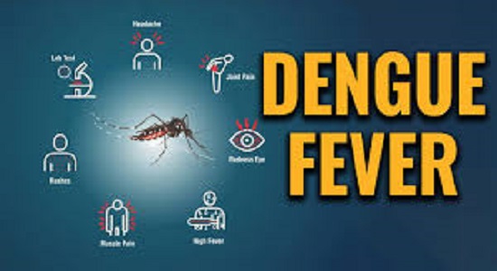 Understanding Dengue Fever: Symptoms, Prevention, and Treatment