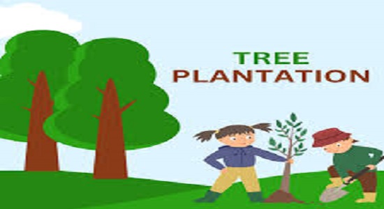 "The Green Revolution The Power of Tree Plantation"