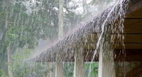  Exploring the Nature's Tears Advantages and Disadvantages of Rain