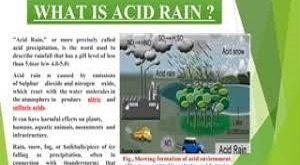 Understanding Acid Rain Causes, Effects, and Solutions