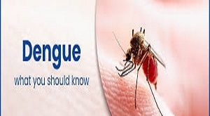 Understanding Dengue Fever: Symptoms, Prevention, and Treatment
